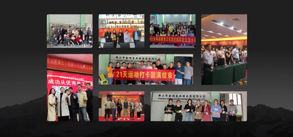 Company Team